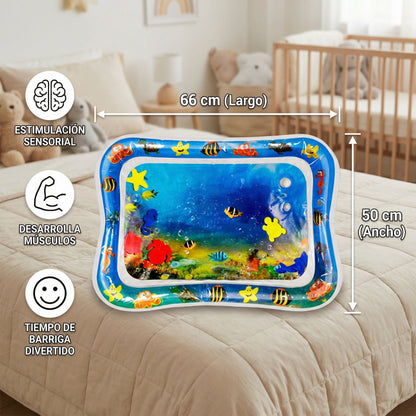 HUD_ID_70798103282005